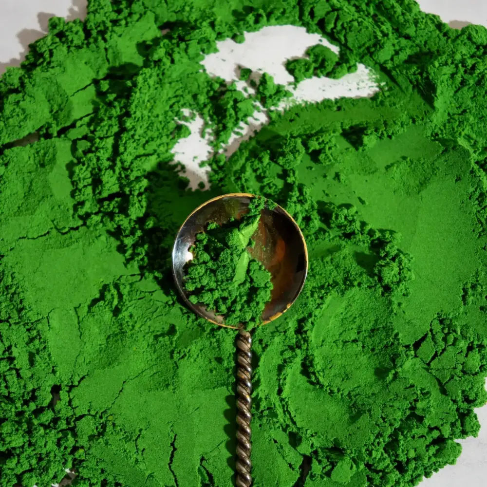 Chlorella w proszku 200g Sakuro - 2